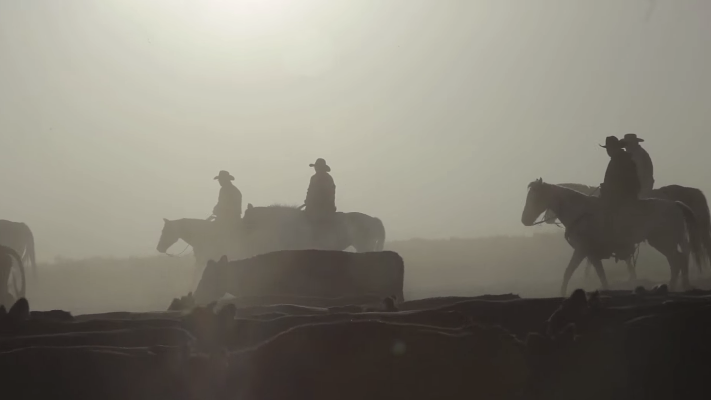 Lone Man's Land